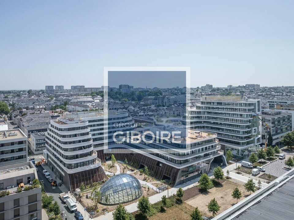 Bureaux  - ANGERS (49.017380) - photo-1