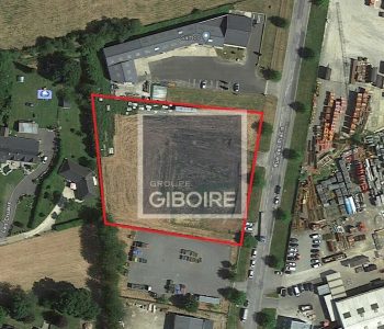 Terrain  - BOURGBARRE (35.6284) - vignette