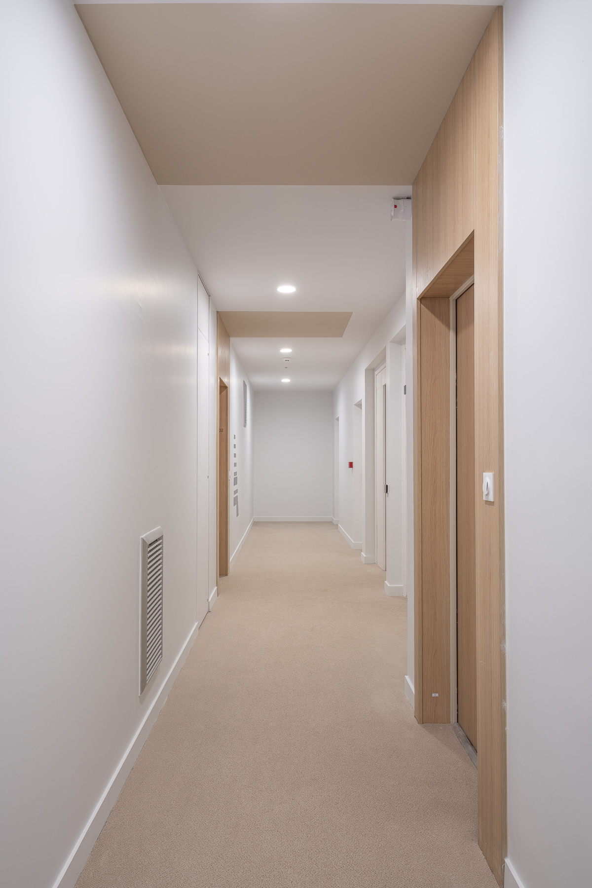 MÉTAMORPHOSE - photo-11