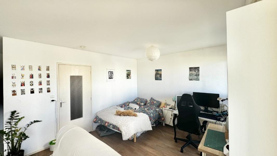 Appartement T1  - Rennes (489840) - photo principale