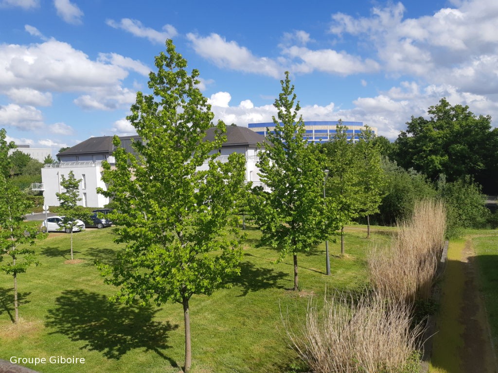 Appartement T3  - Cesson Sevigne (492729) - photo-4