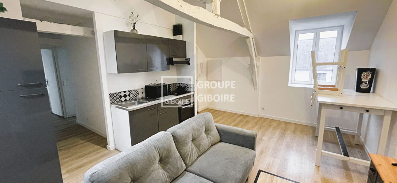 Appartement T3  - PACE (MBO26036GE) - photo principale