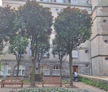 Appartement T2  - Saint Malo (486934) - vignette