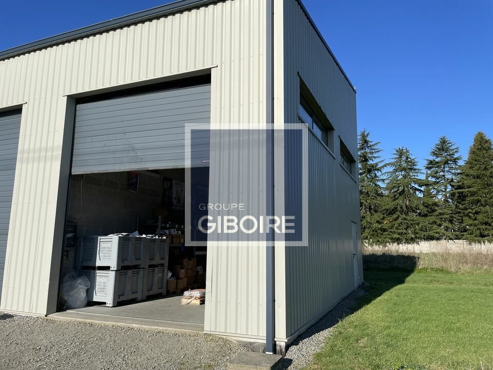 Local d'activites  - NOYAL CHATILLON SUR SEICHE (35.5698) - photo-5