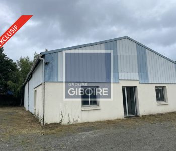 Local d'activites  - VERN-SUR-SEICHE (35.6966) - vignette
