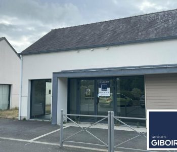 Local d'activites  - CASSON (44.019028) - vignette