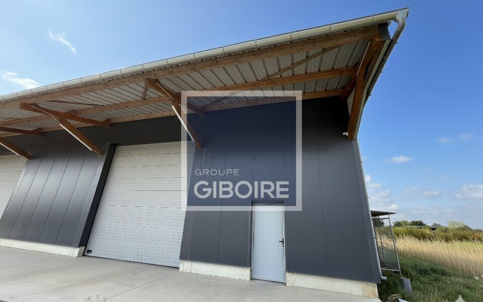 Local d'activites  - LAILL (35.6820) - photo principale