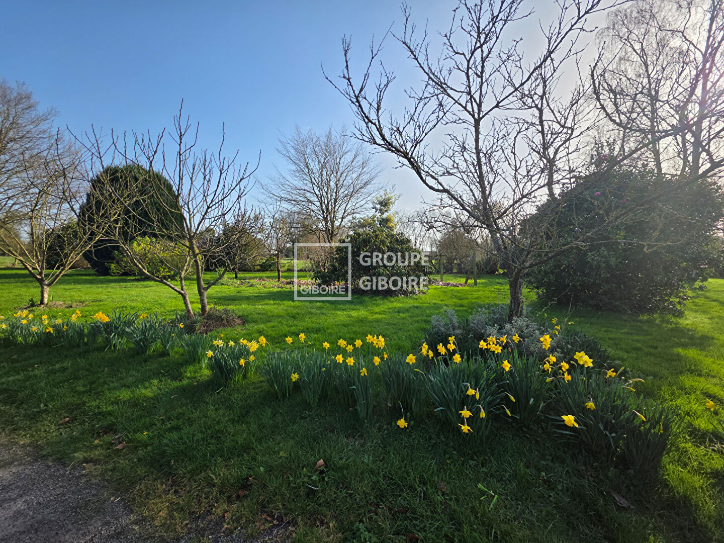 Maison T7  - PACE (BM26187) - photo-2