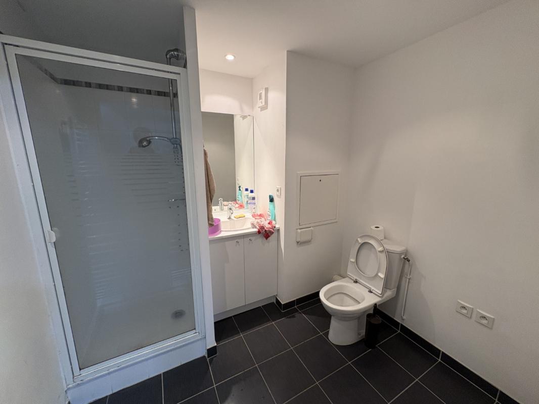 Appartement T2  - Cesson Sevigne (492840) - photo-6