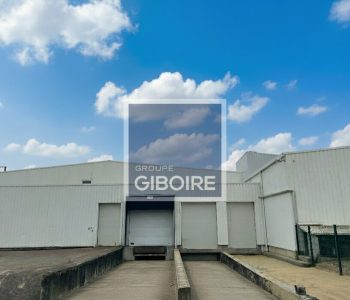 Local d'activites  - BETTON (35.6440) - vignette