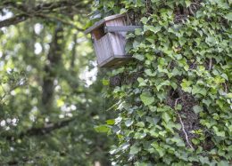 Construire en tenant compte du vivant : une trajectoire engagée par le Groupe Giboire