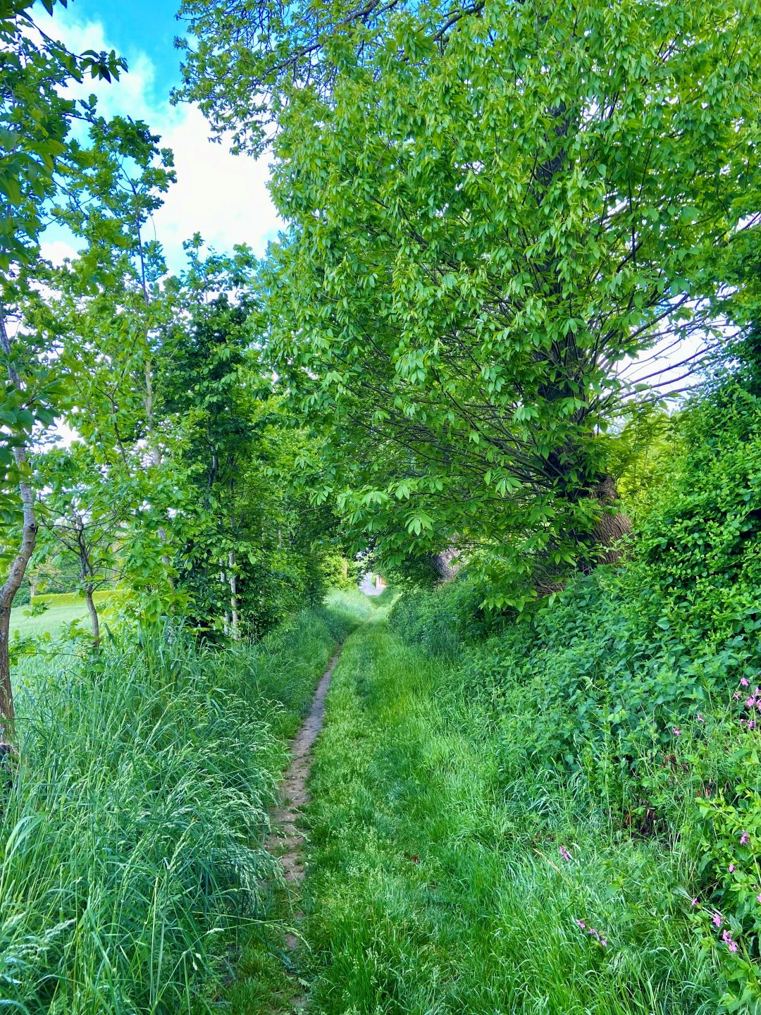 GUEURY-LA-DOUVE - photo-2