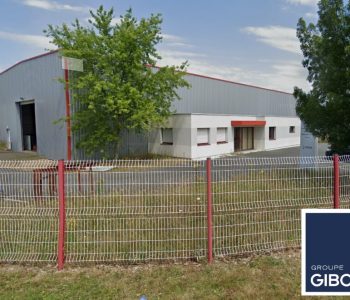 Local d'activites  - THOUARE SUR LOIRE (44.018756) - vignette