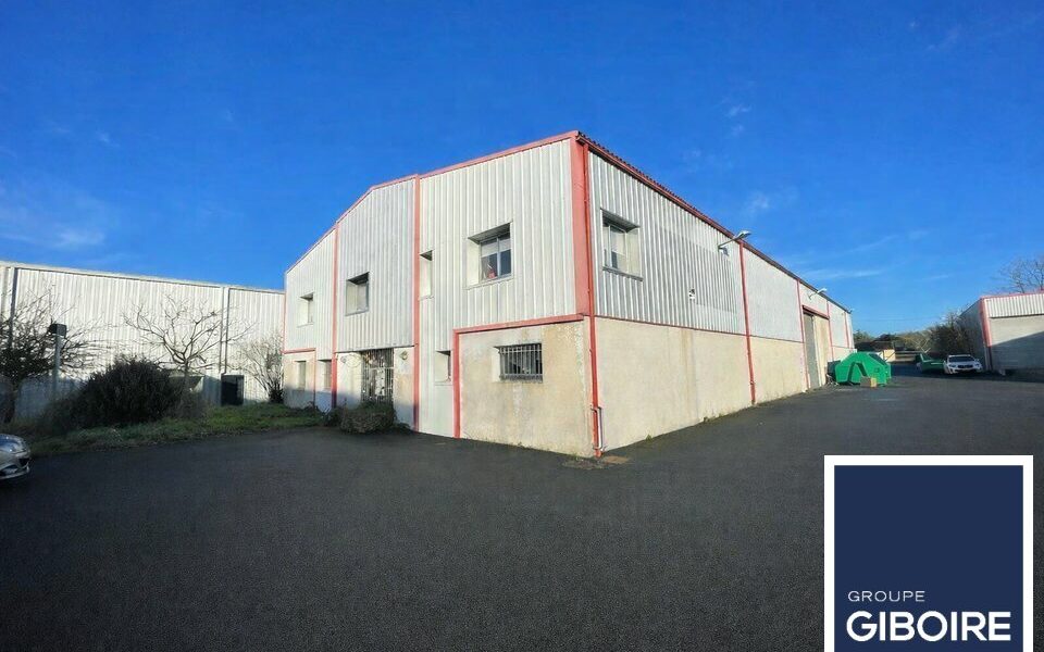 Local d'activites  - THOUAR-SUR-LOIRE (44.019064) - photo principale