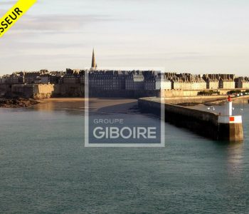 Murs commerciaux - a vendre  - SAINT-MALO (35.7058) - vignette