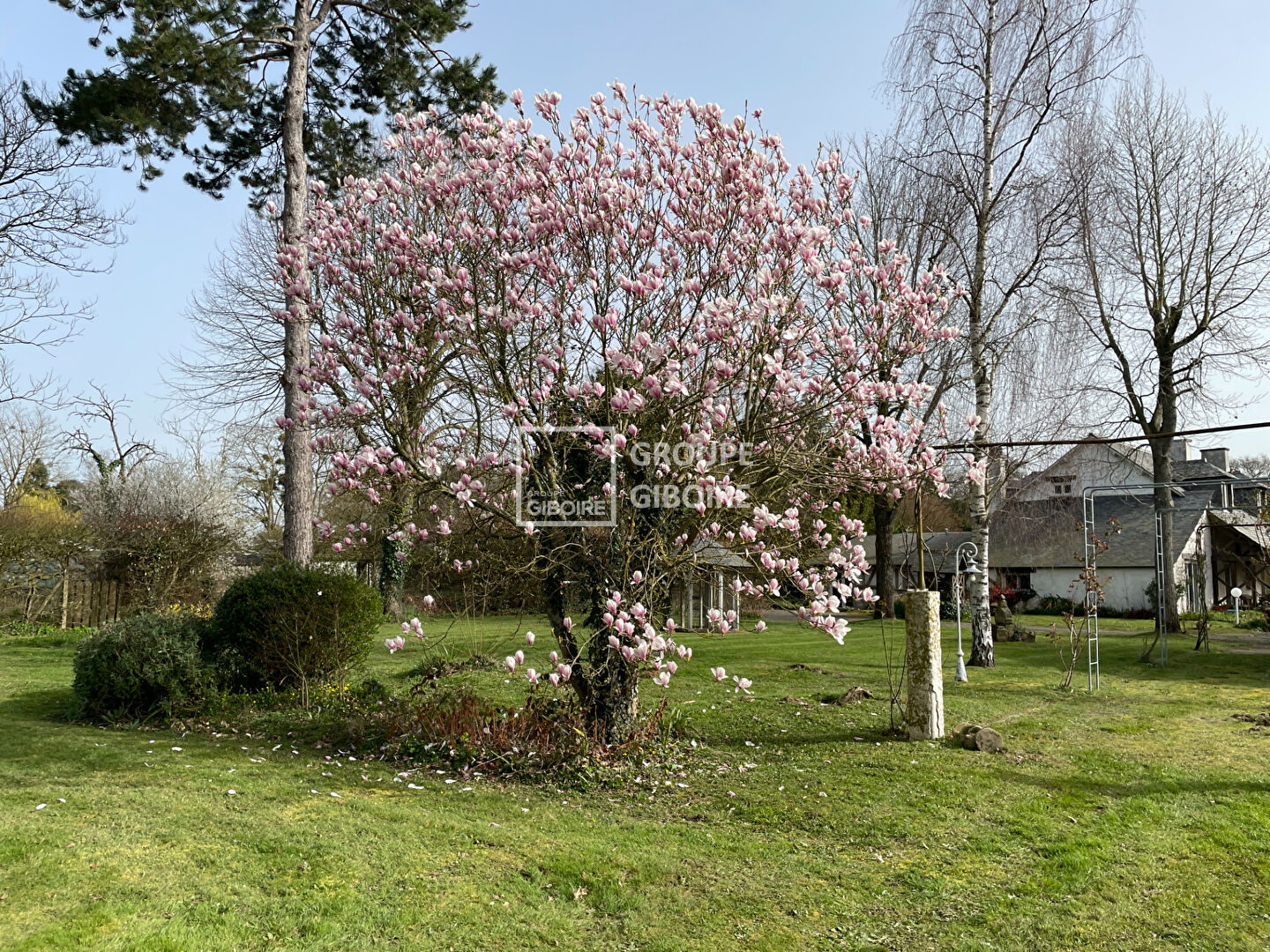 Maison T6  - CESSON SEVIGNE (PJ26173) - photo-2