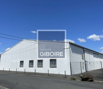 Local d'activites  - VEZIN LE COQUET (35.1286) - vignette