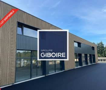 Local d'activites  - SAINT GILLES (35.6871) - vignette