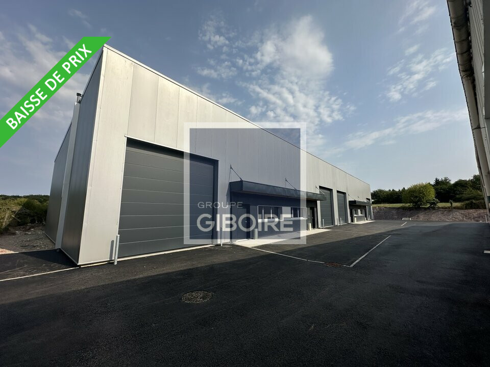 Local d'activites  - LAILLE (35.5891) - photo-9