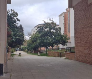 Appartement T2  - Rennes (505249) - vignette