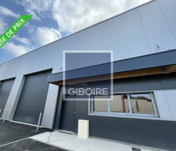 Local d'activites  - LAILLE (35.5891) - vignette