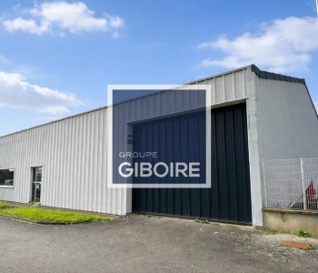 Local d'activites  - LE RHEU (35.6914) - vignette