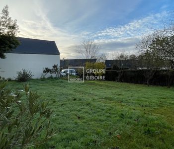 Terrain  - BRUZ (JR25998) - vignette