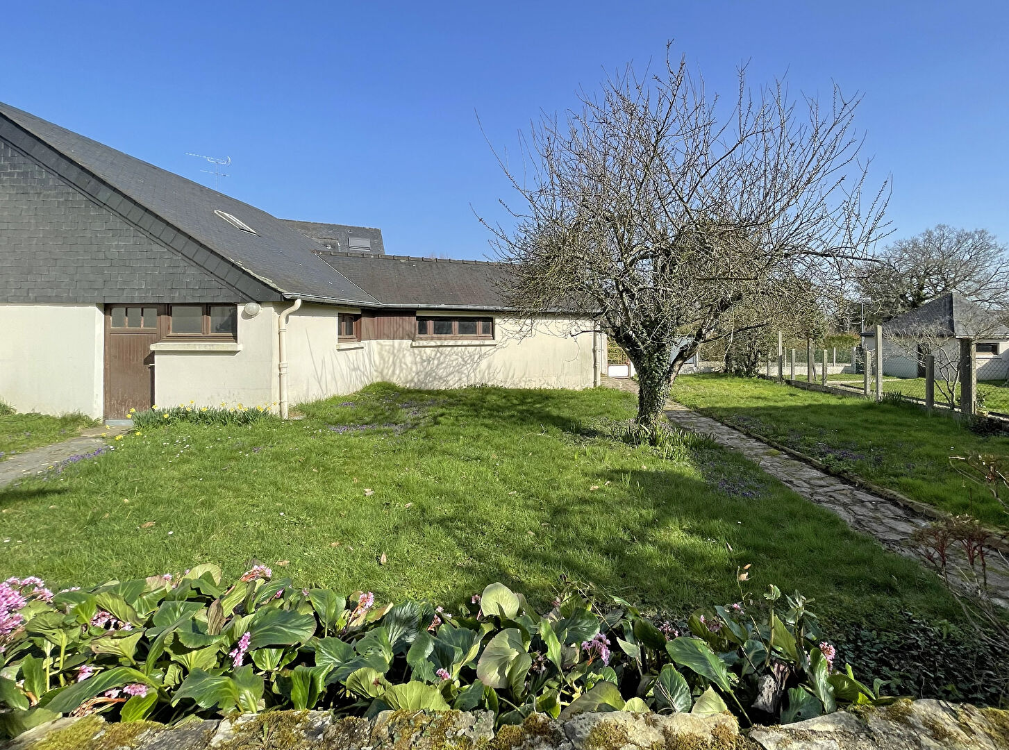 Maison  - CESSON SEVIGNE (AM-OG26082r) - photo-3