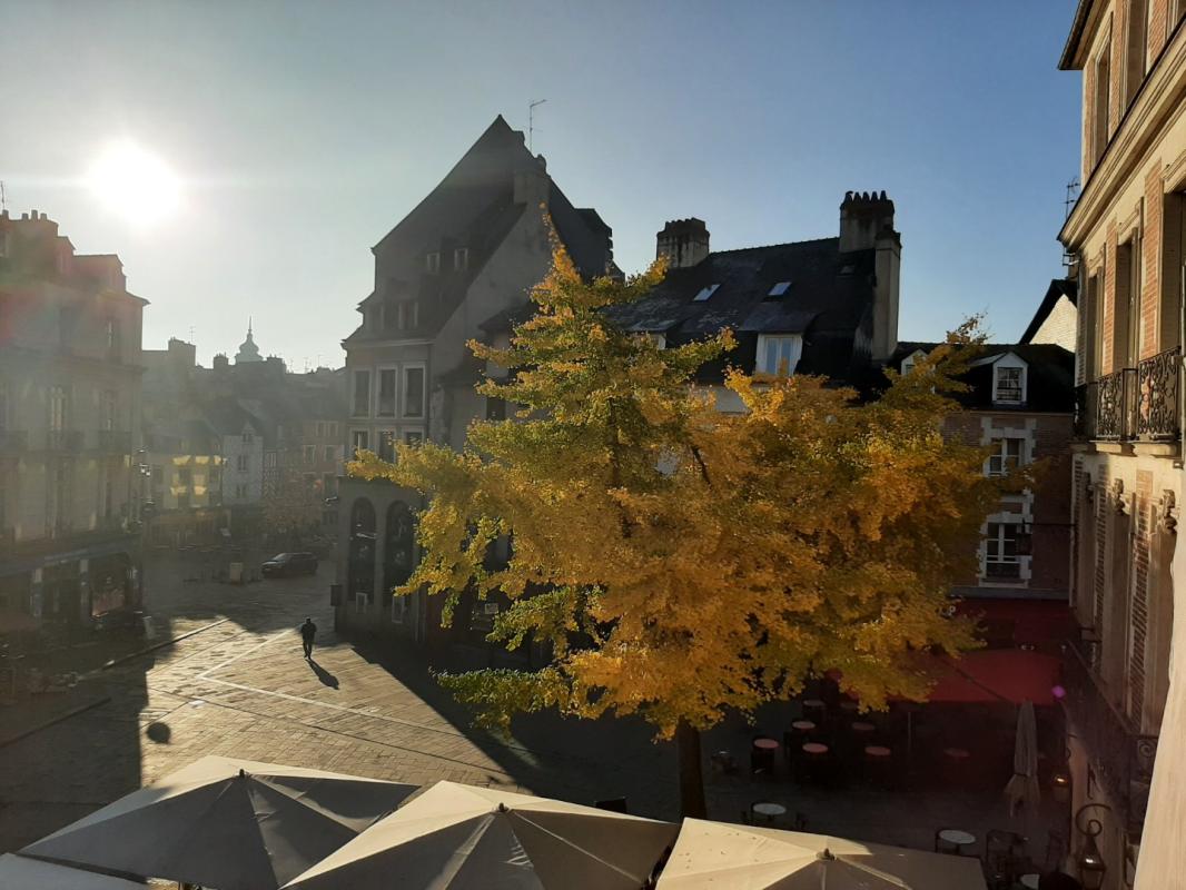 Appartement T2  - Rennes (517965) - photo-7