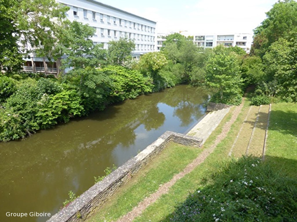Appartement T1  - Rennes (528149) - photo-5