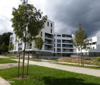 Appartement T2  - Rennes (556001) - vignette