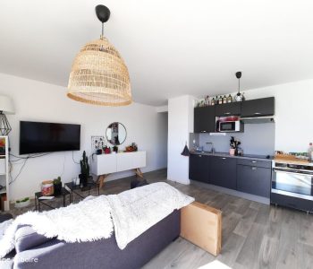 Appartement T3  - Pont Pean (540608) - vignette