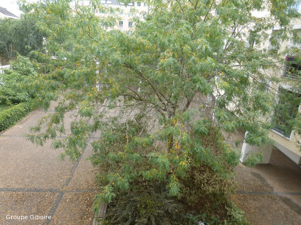 Appartement T3  - Rennes (549429) - 13