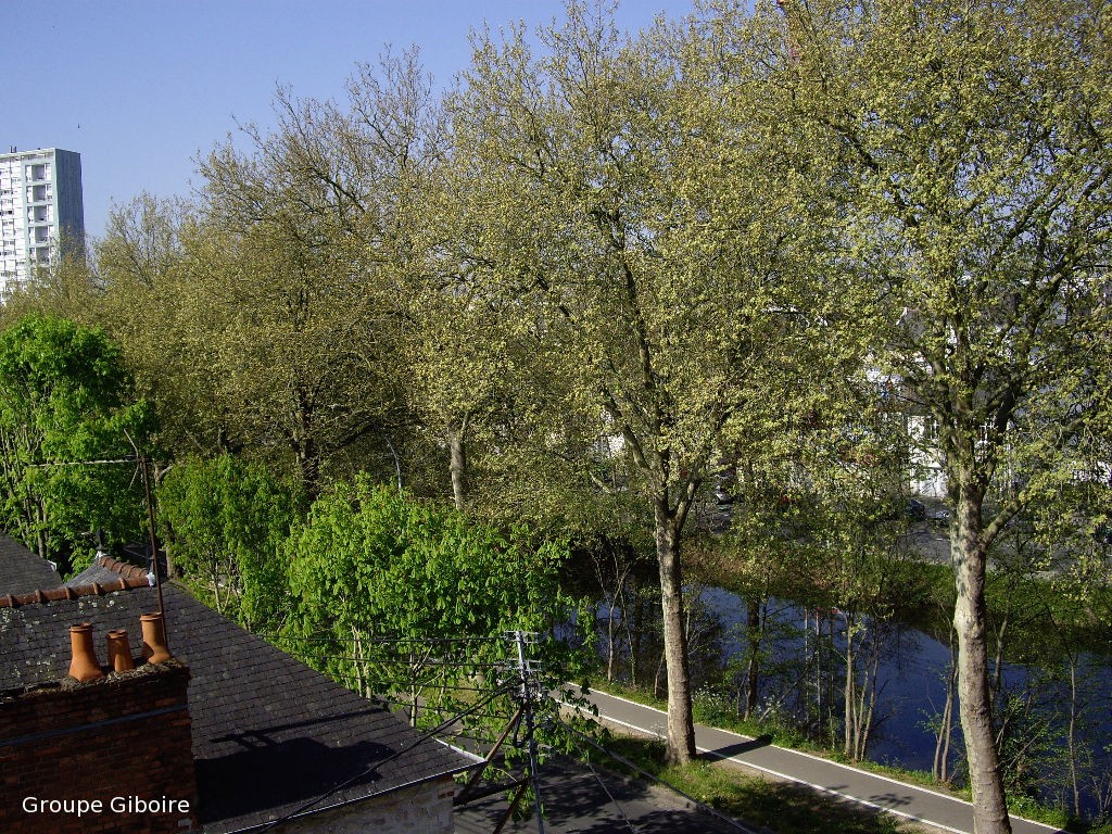Appartement T2  - Rennes (554405) - 2
