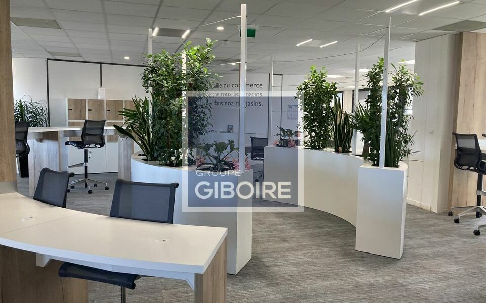 Bureaux  - ANGERS (49.017422) - vue principale