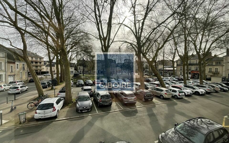 Bureaux  - ANGERS (49.017404) - vue principale
