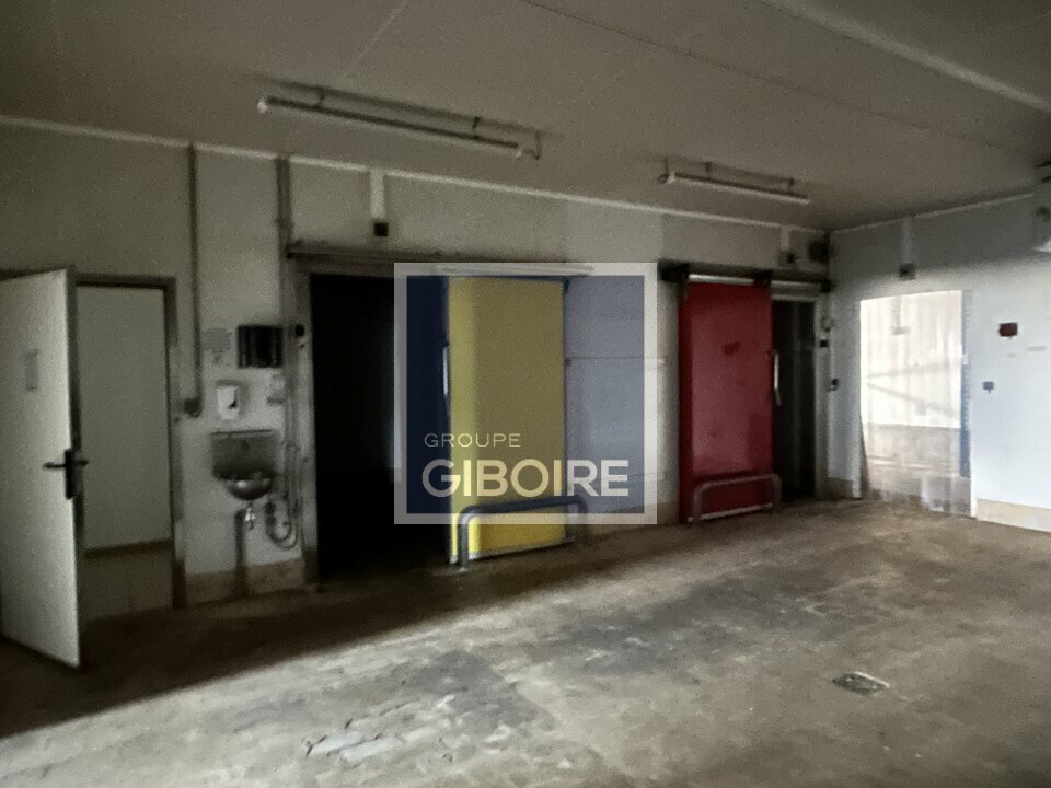 Local d'activites  - SAINT-JACQUES-DE-LA-LANDE (35.7262) - 5