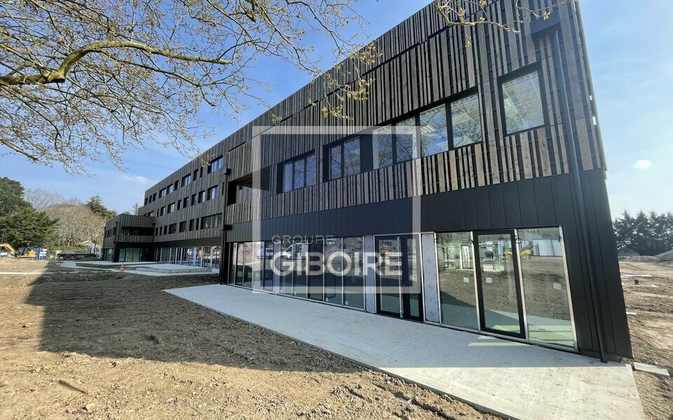 Bureaux  - ANGERS (49.017445) - vue principale