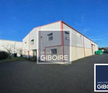 Local d'activites  - THOUAR-SUR-LOIRE (44.019064) - vignette