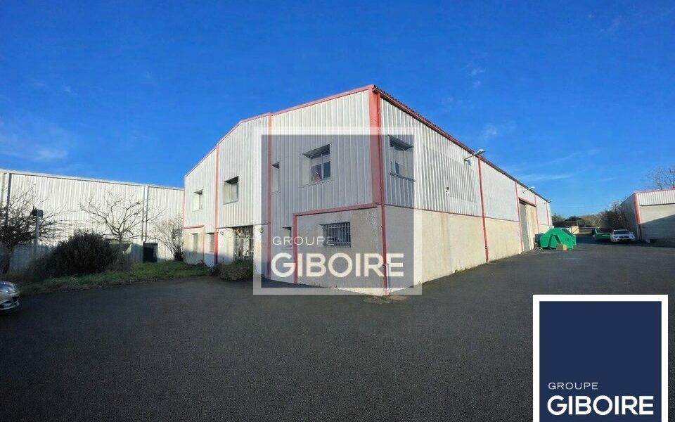 Local d'activites  - THOUAR-SUR-LOIRE (44.019064) - vue principale