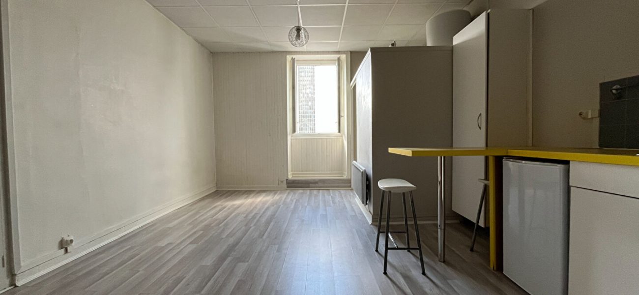 Appartement T1  - NANTES (ML26379) - vue principale