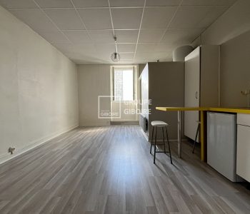 Appartement T1  - NANTES (ML26379) - vignette