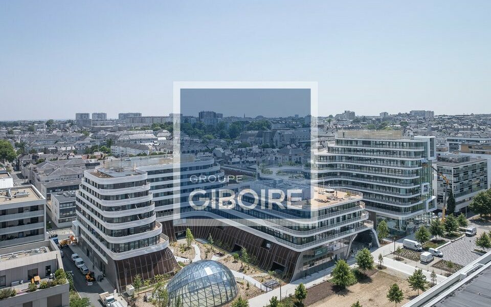 Bureaux  - ANGERS (49.017380) - vue principale