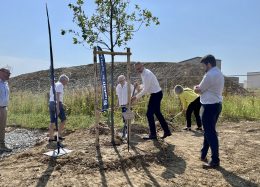 Plantation du premier arbre de la résidence Constellatio à Châteaugiron !