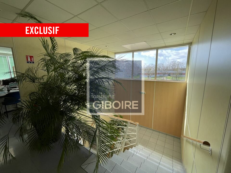 Local d'activites  - BRUZ (35.6595) - 17