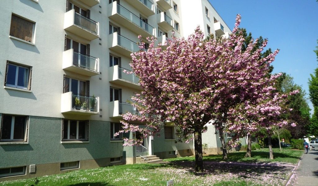 Appartement T1  - Rennes (559087) - vue principale