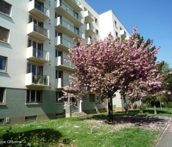 Appartement T1  - Rennes (559087) - vignette