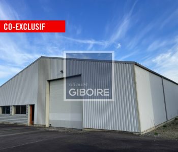Local d'activites  - GUICHEN (35.7103) - vignette