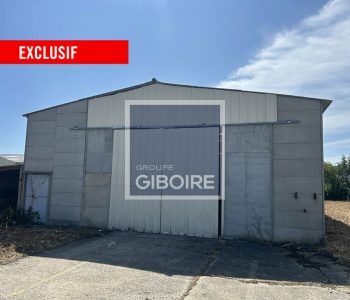 Local d'activites  - BRUZ (35.3055) - vignette
