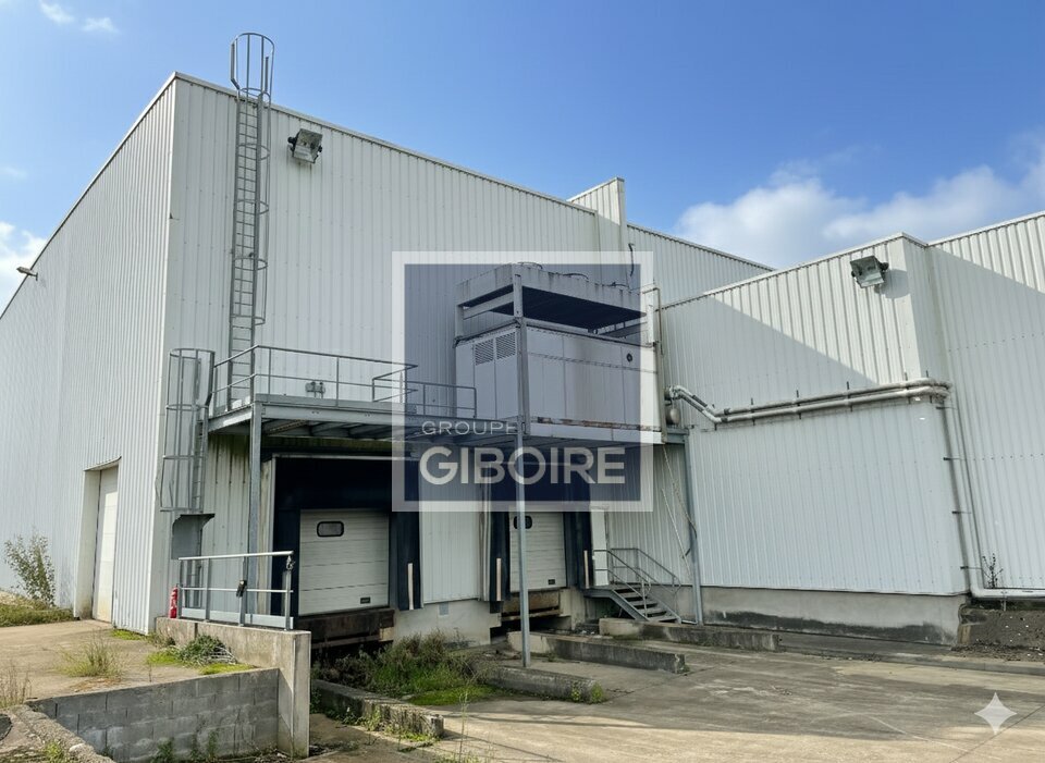 Local d'activites  - BETTON (35.6440) - 3